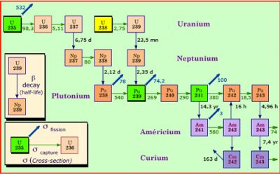 Minor Actinides - radioactivity.eu.com