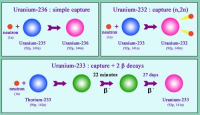 Uranium Isotopes - radioactivity.eu.com